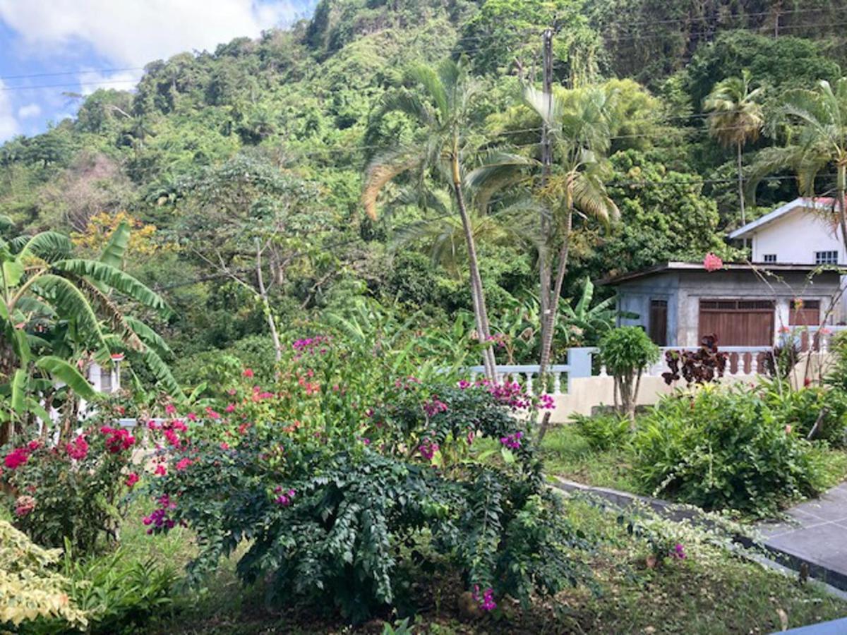 Stunning 2-Bed Apartment In Grand Roy Grenada Mount Nesbit Kültér fotó